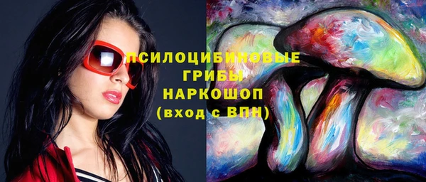 apvp Зеленокумск